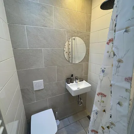 Spacious Cosy With Private Bathroom 3* The Hague